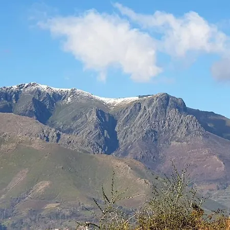 Cantinho Dos Montes